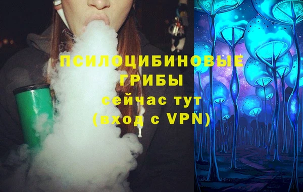 гашик Вязники