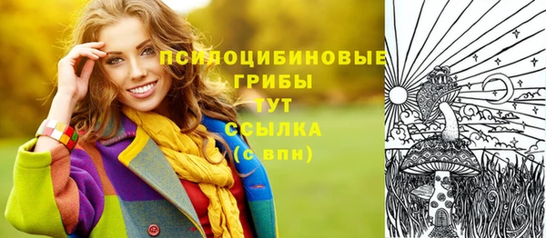 гашик Вязники