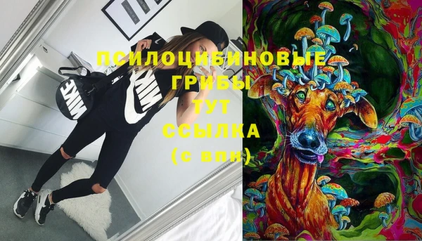 метадон Вяземский